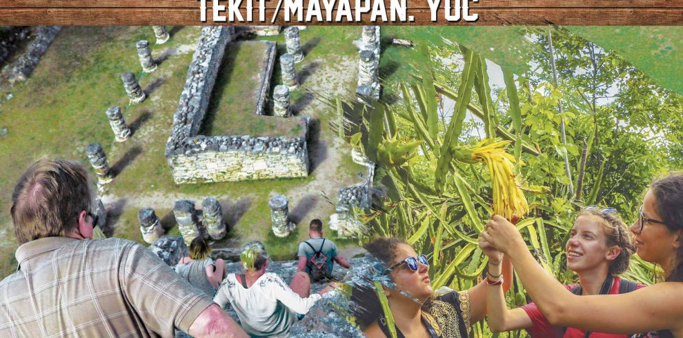 Tour Mayas de ayer mayas de hoy en Tekit y Mayapan